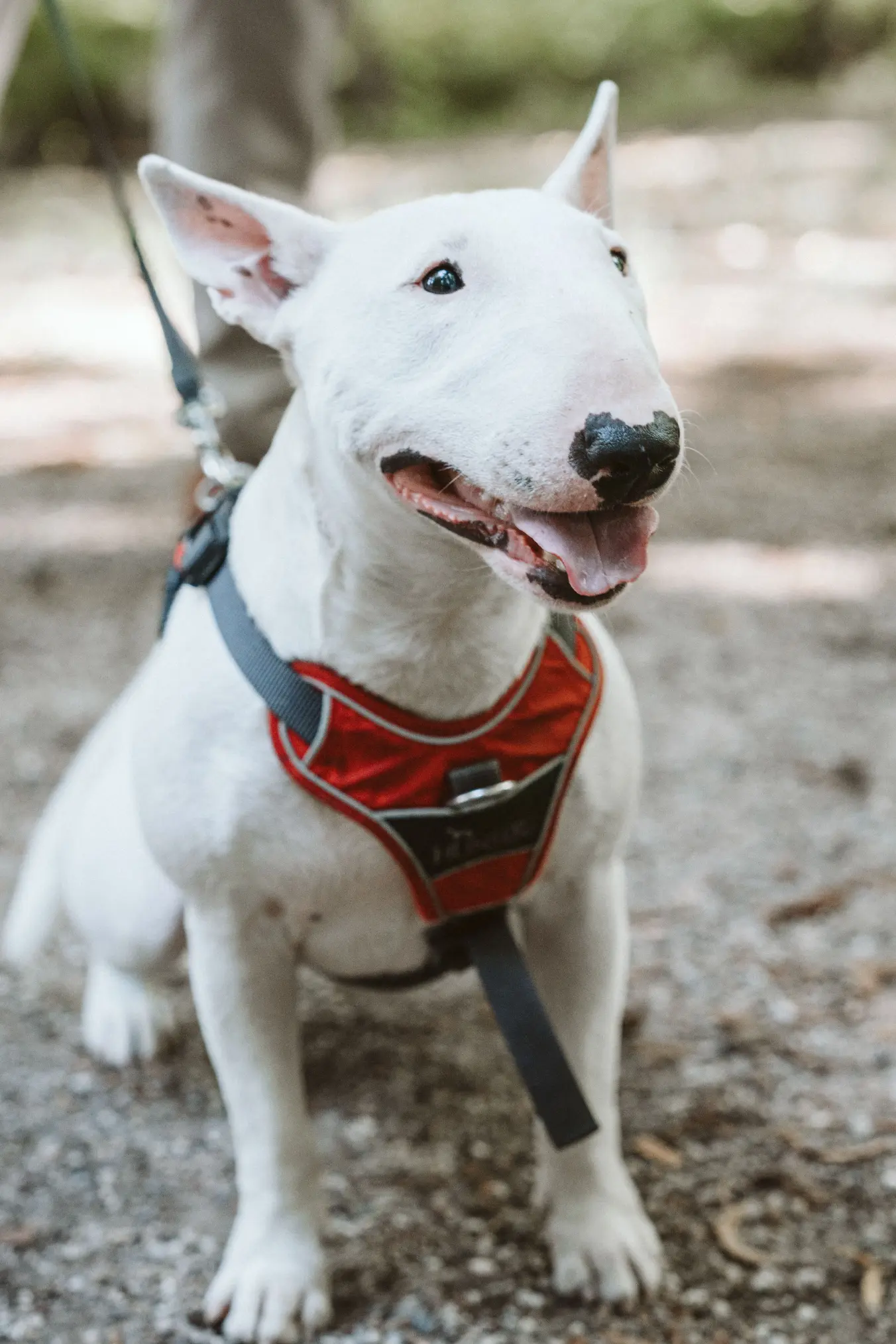 Hochzeit Doren und Danilo 128