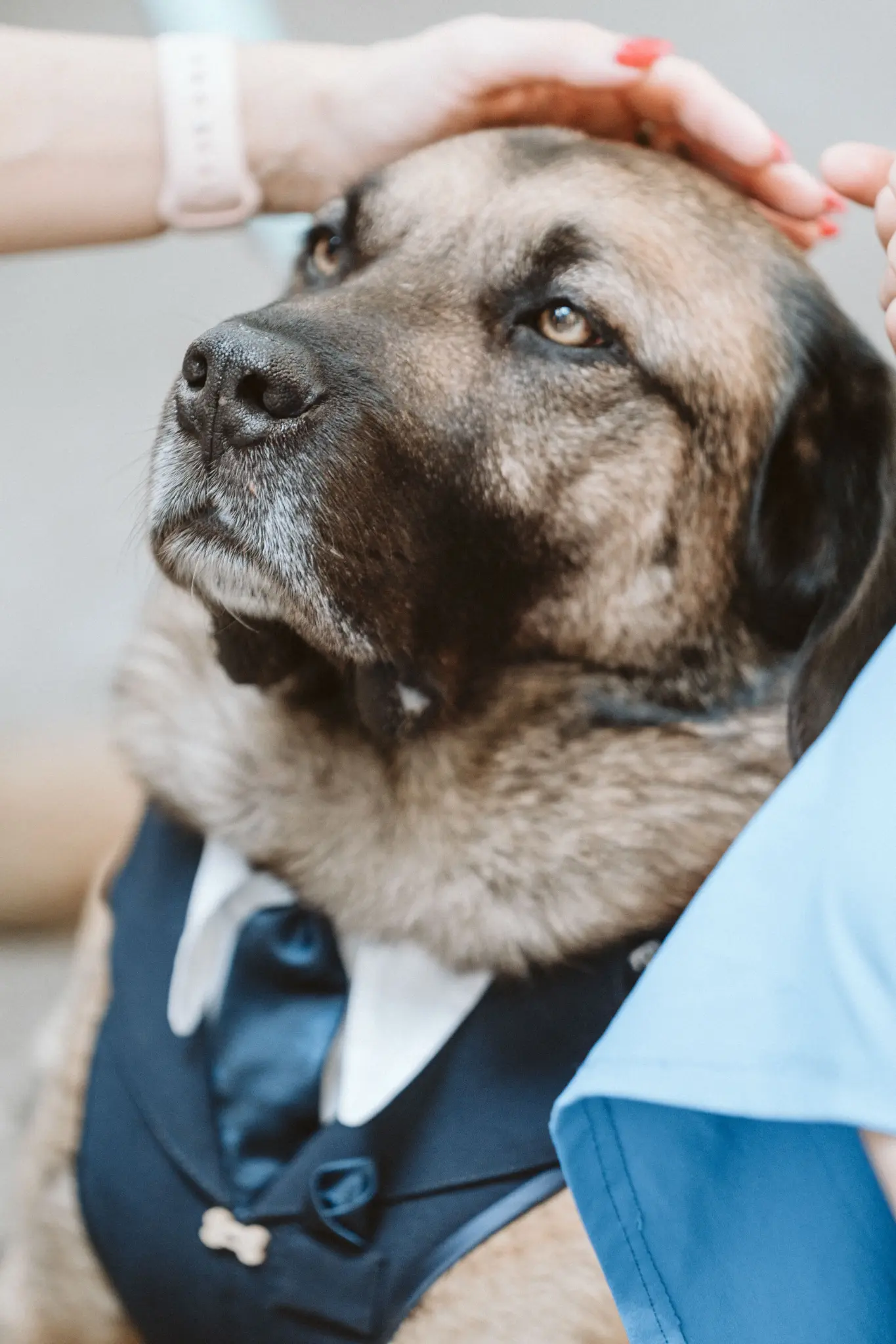 Hochzeit Ines und Marco 1