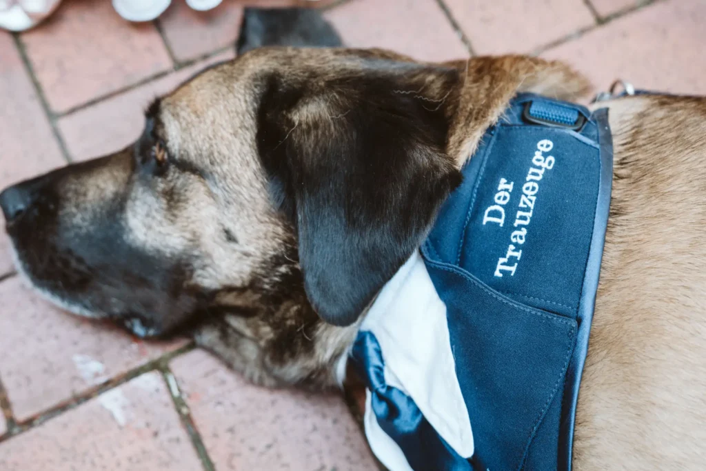 Hochzeit Ines und Marco 136