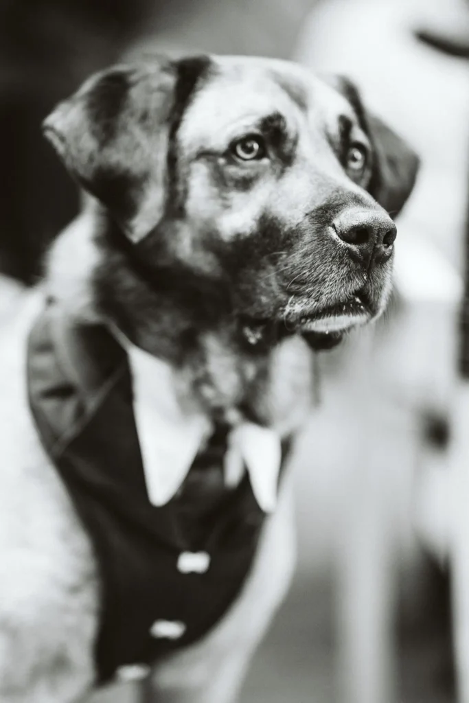 Hochzeit Ines und Marco 68