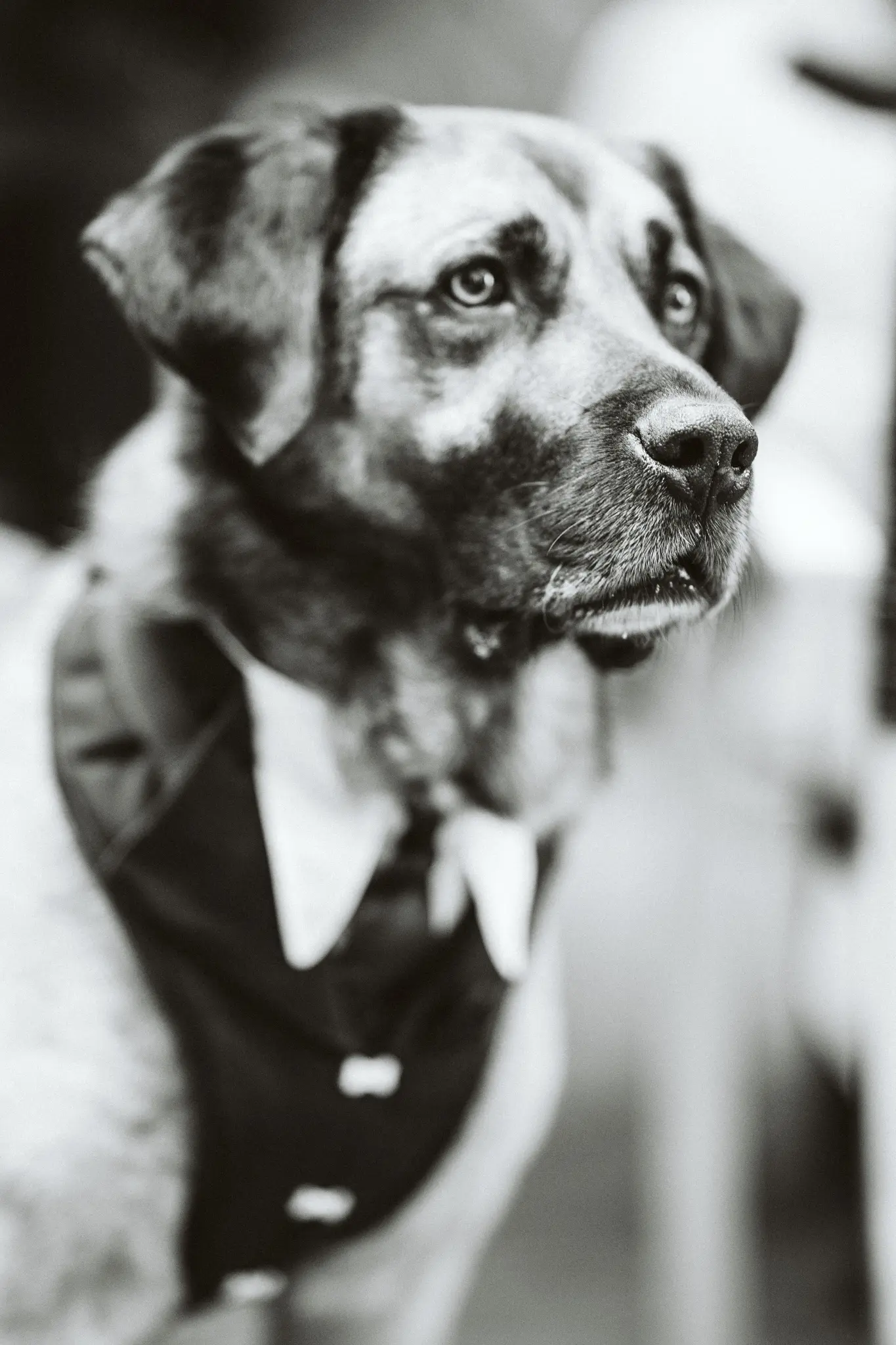 Hochzeit Ines und Marco 68