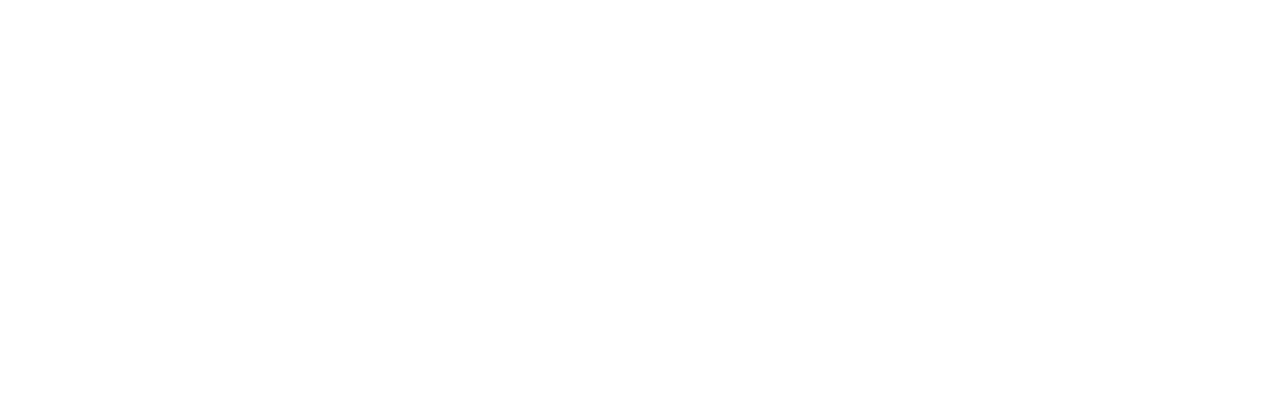 Hochzeitsfotograf Dennis Kaatz Logo Weiss